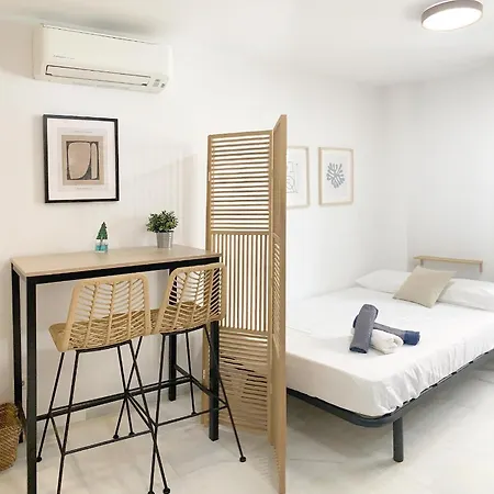 Malagadevacaciones- Mendoza Apartment Malaga